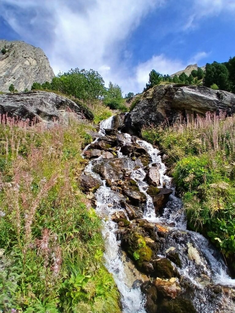 L&rsquo;Orgère